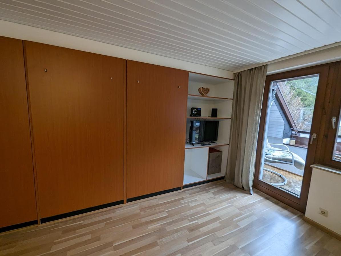 C3 Albmatte-Fewo Sauna, Hallenbad Aussenbecken Massagen Nebenan St. Blasien Exterior foto